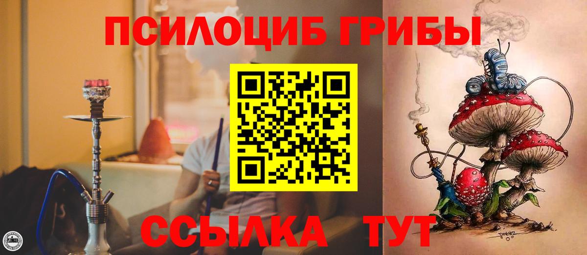 Галлюциногенные грибы Psilocybine cubensis Междуреченск