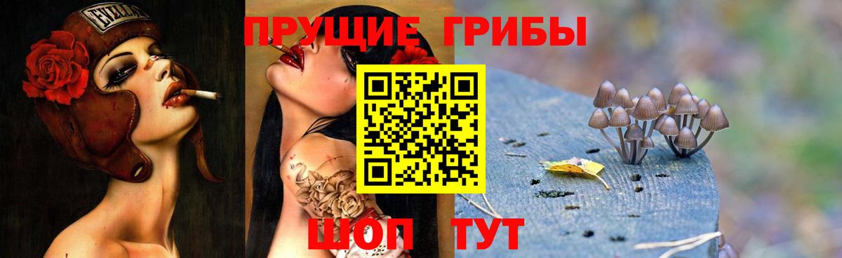 Псилоцибиновые грибы Psilocybine cubensis  Вход с VPN  Междуреченск 